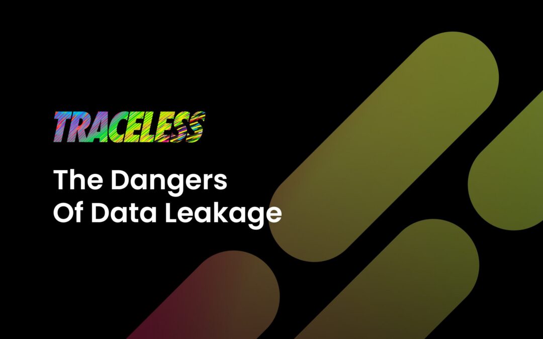 FI The Dangers Of Data Leakage scaled