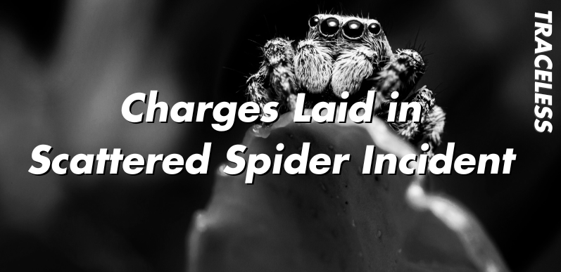 Featured Image of a Spider on a Leaf for the article Charges Laid in Scattered Spider Incident